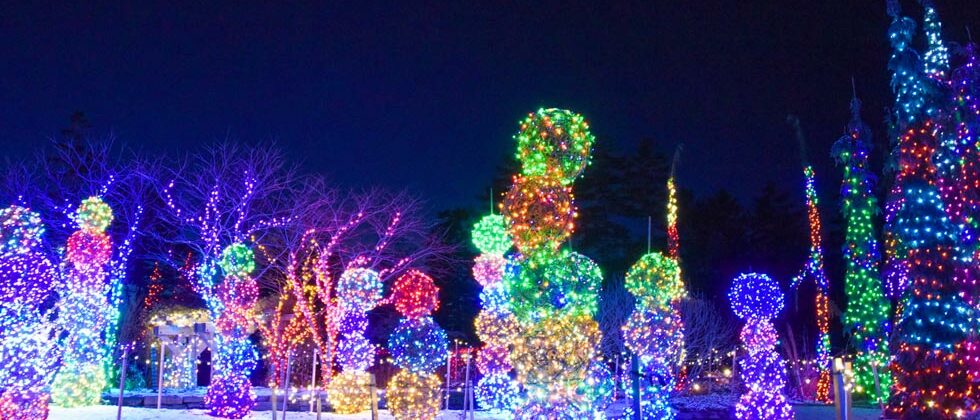 Holiday Lights at the Coastal Maine Botanical Gardens