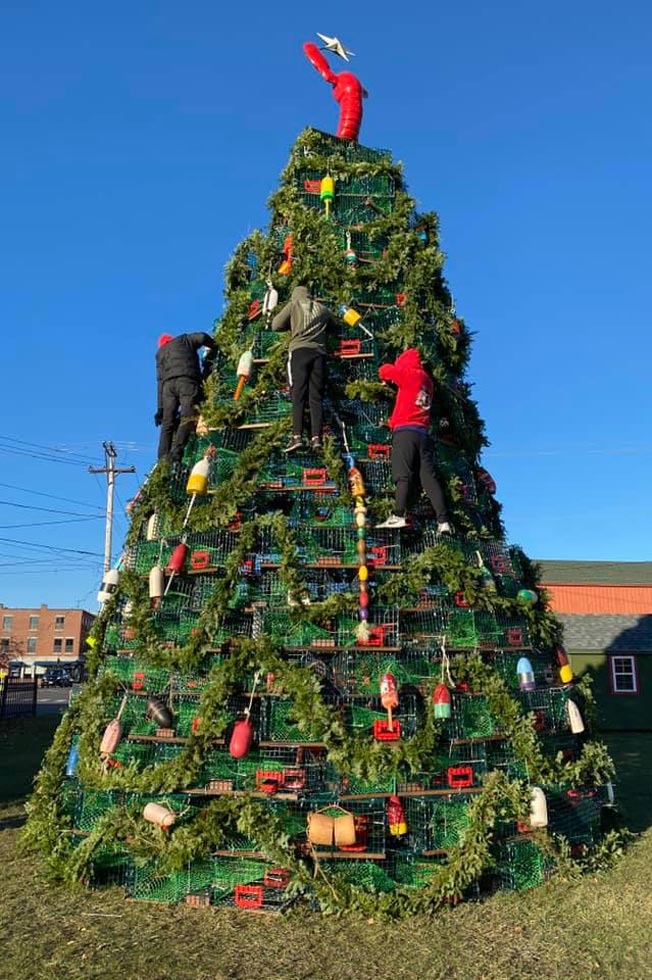 Trap Tree at Rockland Festival of Lights 2021 Rockland Maine
