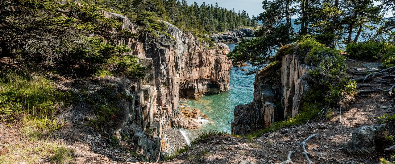 Rocky inlet in Acadia National Park with water, rocks, and evergreens