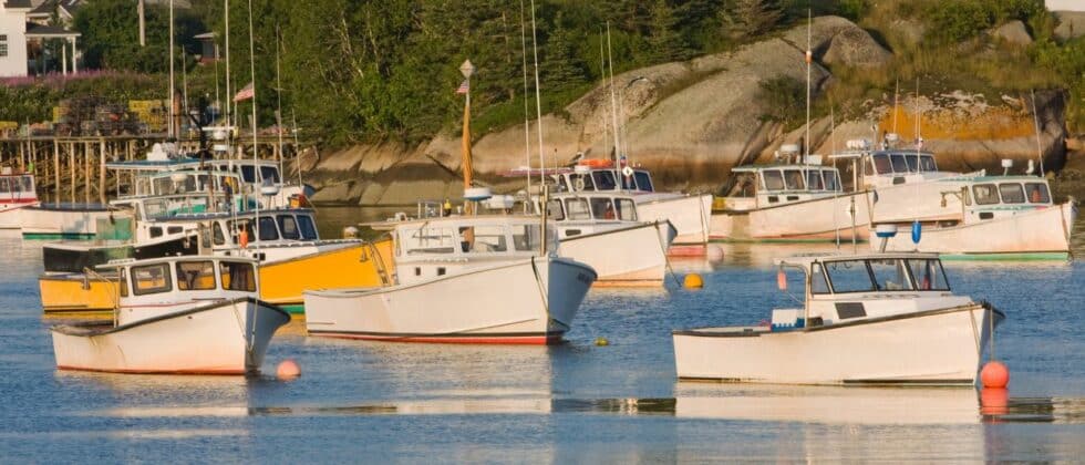 Lobster boats on the water in the harbor at sunset.