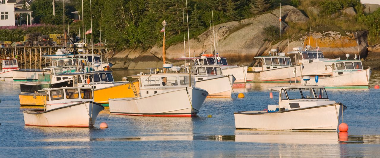 Lobster boats on the water in the harbor at sunset. 