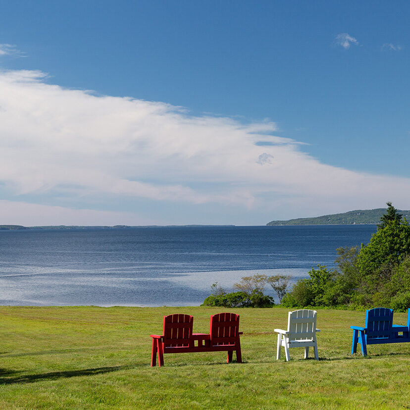 Maine coastline near the waters edge with chairs on green grass