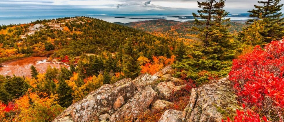 Fall foliage in Acadia National Park with view of ocena