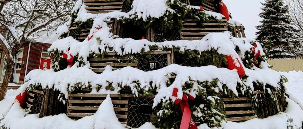 Snow-covered lobster trap Christmas tree.