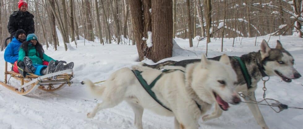 A team of dogs pulling sled with two passengers and driver through a snowy forest.