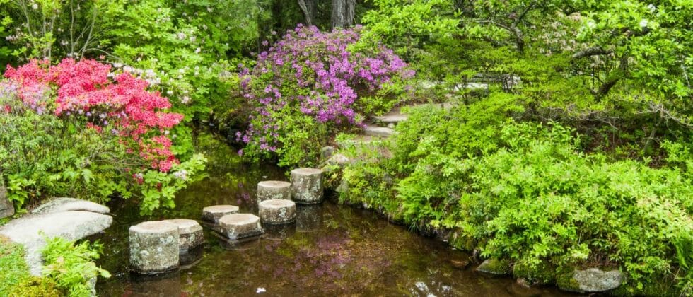 Stepping stones and flower bushes at Asticou Azalea Gardens in Maine