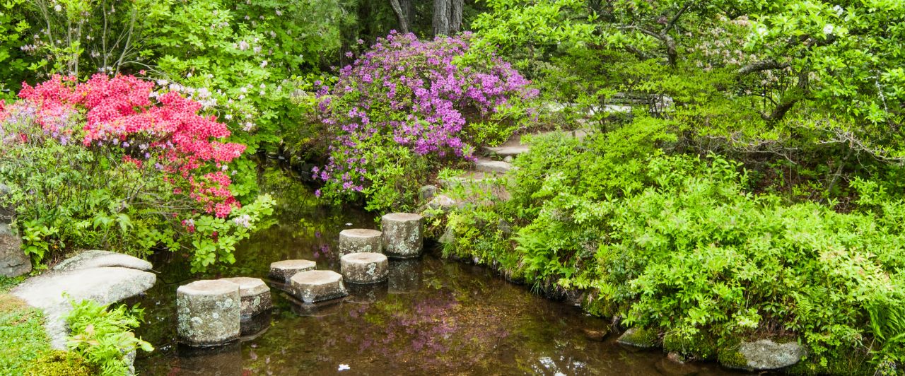 Stepping stones and flower bushes at Asticou Azalea Gardens in Maine