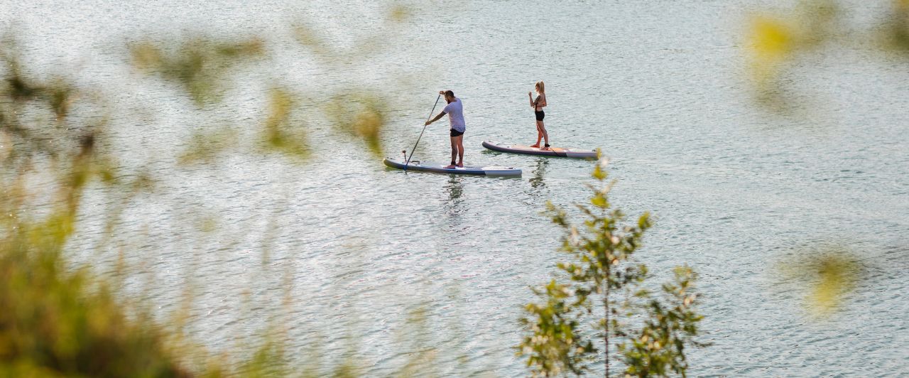view from shore: a couple paddleboarding with trees in the foreground